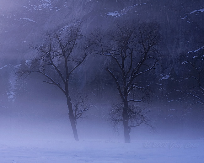 Clearing the Fog
