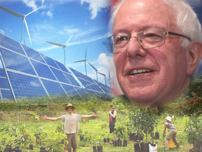Bernie's Vision