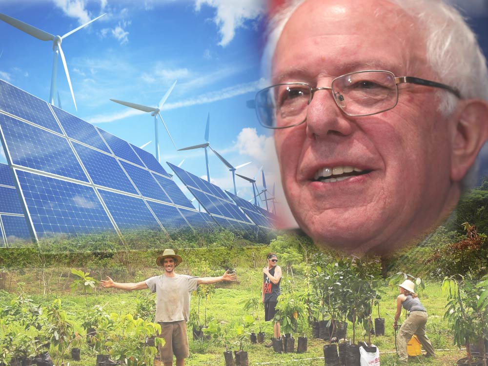 Bernie's Vision
