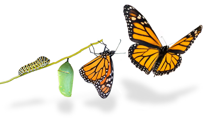 This Transformation We Require